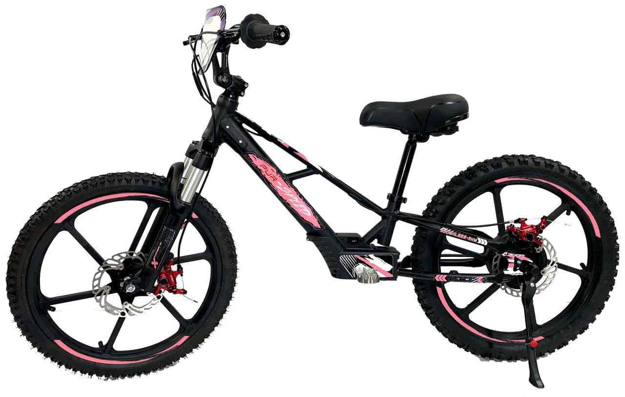 Pur-Speed 20" Xtreme 500W 48V 4ah