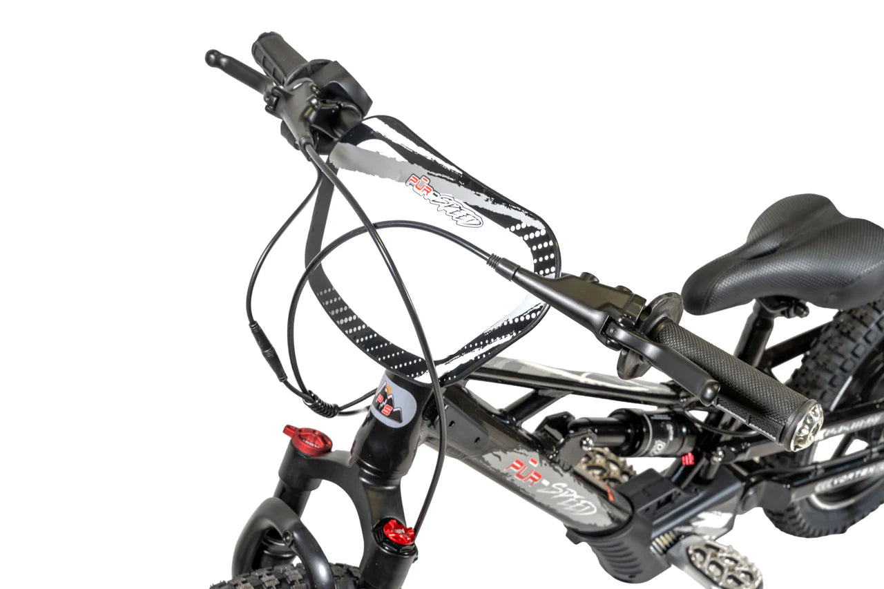 *NEW PRODUCT* Pur-Speed 16" Xtreme Ultra 350W 52V 5ah